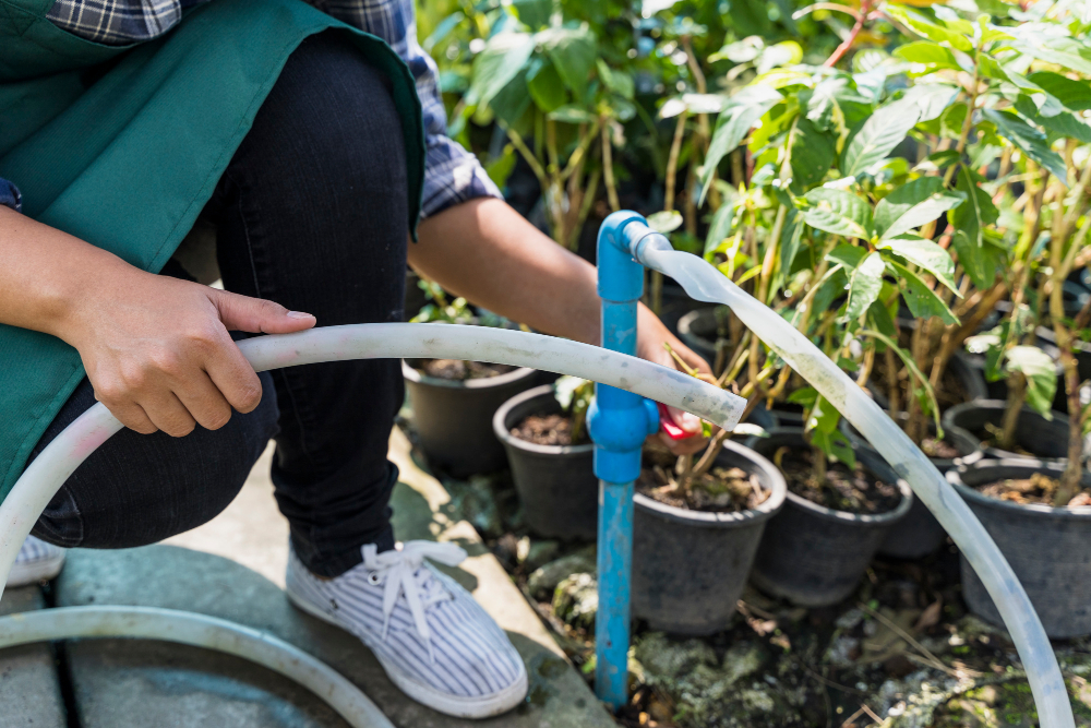 Instalación de Sistemas de Riego para Jardines